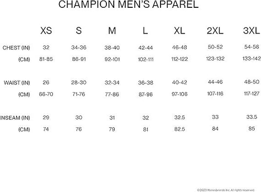 Translation missing: en.Champion Men's MVP Script Logo Short-Sleeve Crewneck T-Shirt - Black-Small