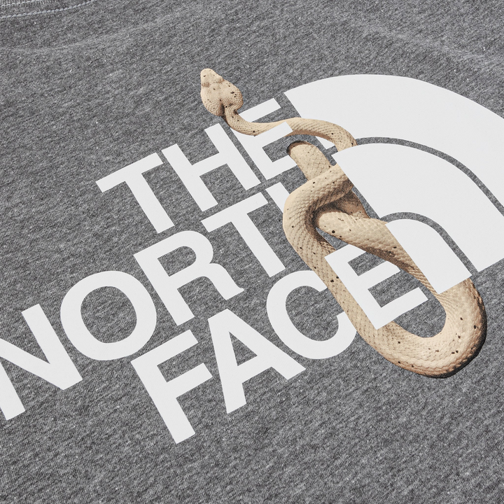 Translation missing: en.The North Face Men's Short Sleeve Lunar New Year Snake Graphic T-Shirt Grey-XL