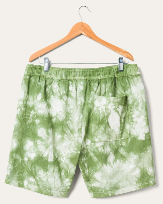 Translation missing: en.Junk Food Clothing Men's Tie Dye Twill Ford Shorts in Sage- Size 2XL